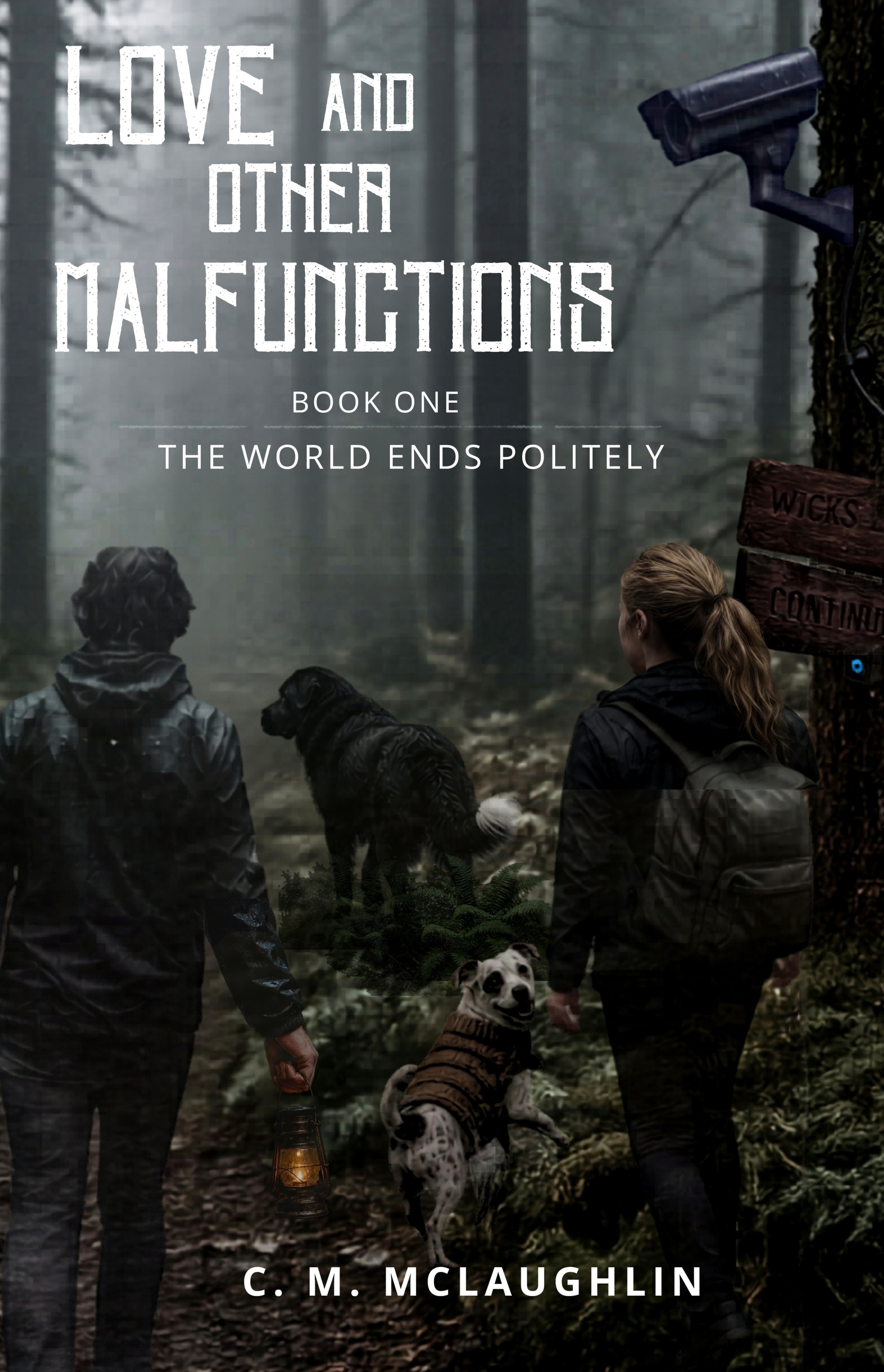 Love and Other Malfunctions cover